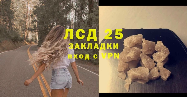 эйфоретик Богданович
