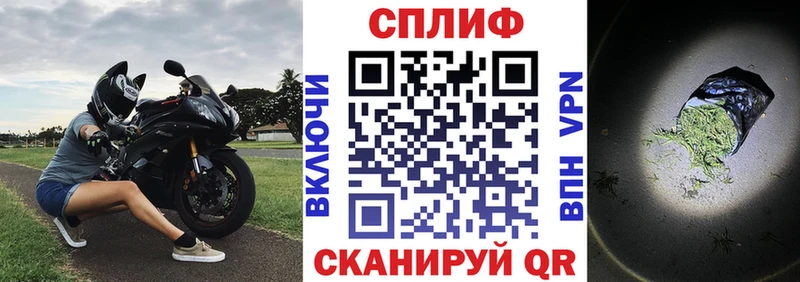 Шишки марихуана сатива что такое Мосальск